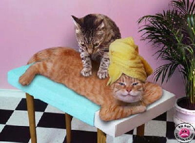 petit massage ???