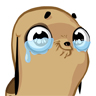 des comms !!!!!!!!!!!