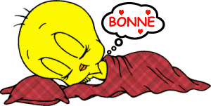 Bonne nuit !