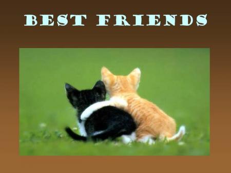article pour ma (mes)  bests friends forever !!
