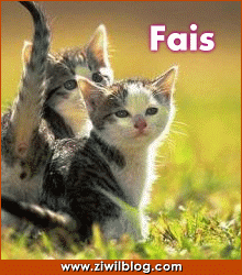 fais ta ptite pub !!