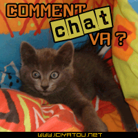 et oui comment ...