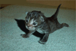 trop craquant !!