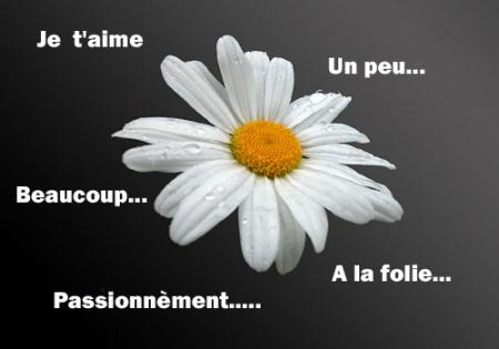 Je t'aime ...