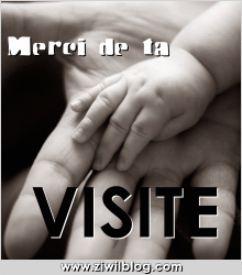 MERCI DE TA PITITE VISITE ...